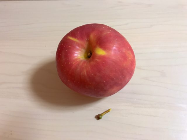りんご 賞味期限 半年