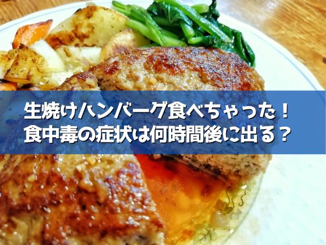 ハンバーグを生焼けで食べてしまったけど大丈夫 こんな症状は注意 ライフアップトピックス