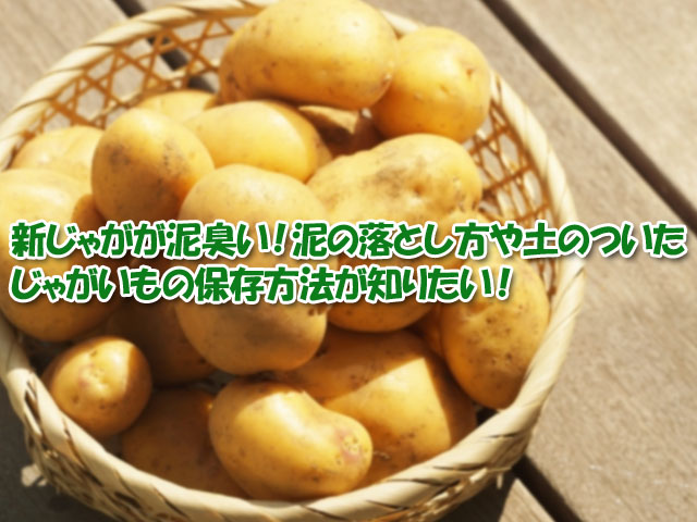 新じゃがが泥臭い 泥の落とし方や土のついたじゃがいもの保存方法が知りたい ライフアップトピックス