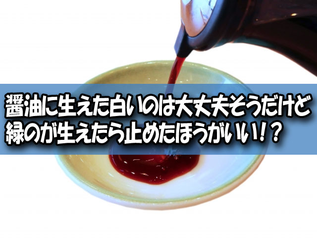 醤油は表面や注ぎ口に白や緑のカビが生えても食べれる 原因や防止方法は ライフアップトピックス